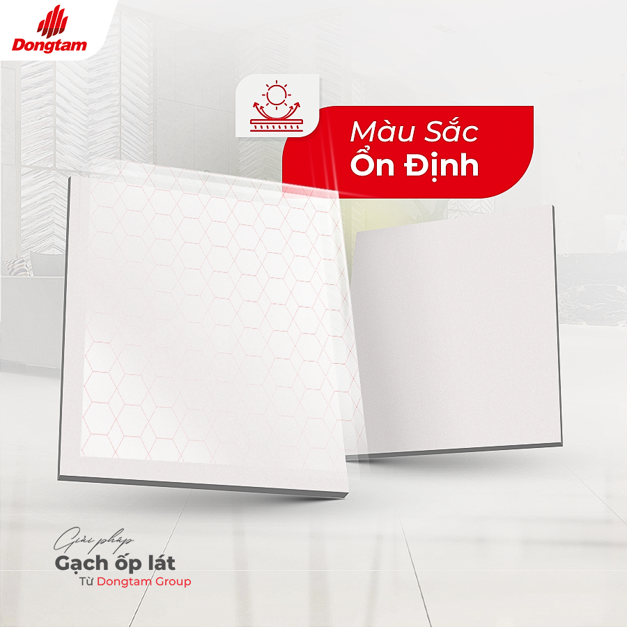 H1.COVER GACH DONGTAM KHONG PHAI MAU