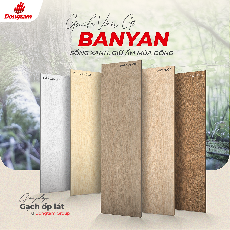 COVER GACH VAN GO BANYAN CHUAN MUC SONG XANH AM AP CHO MUA DONG