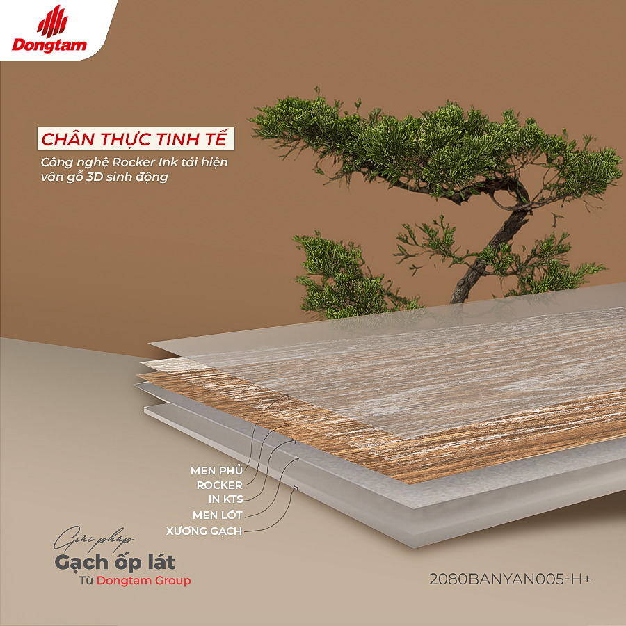 H2.COVER GACH VAN GO BANYAN CHUAN MUC SONG XANH AM AP CHO MUA DONG