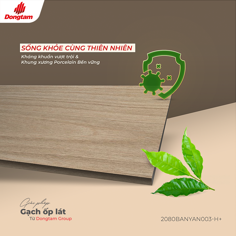 H3.COVER GACH VAN GO BANYAN CHUAN MUC SONG XANH AM AP CHO MUA DONG