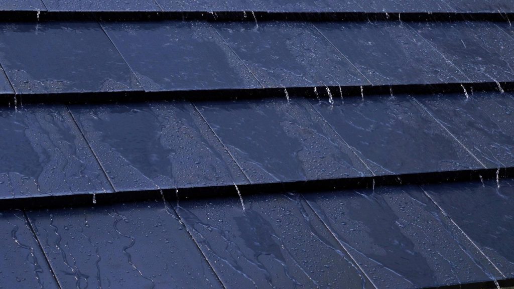 Tại Sao Mái Ngói Bị Rêu Mốc - Nguyên Nhân Từ Khí Hậu Đến Độ Ẩm